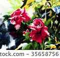rose 35658756