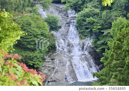 Awara Falls Yoro Valley 35658895