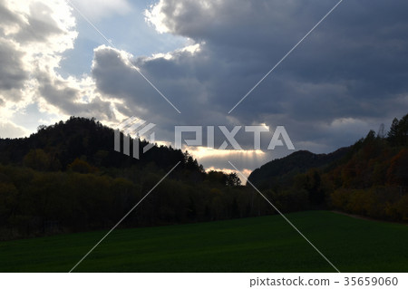Sun light Sun light 35659060