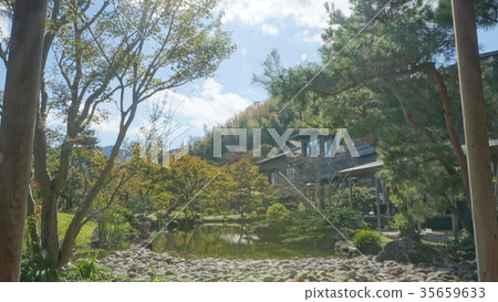 Tamamine Hall 35659633