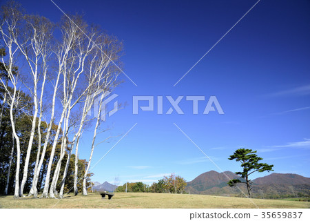 藍天 35659837