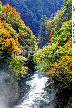 多摩河的秋葉在Kogawachi水壩下 35660253
