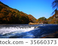 Japan / Chiba / Maple Leaf / Blowing Waterfall 35660373