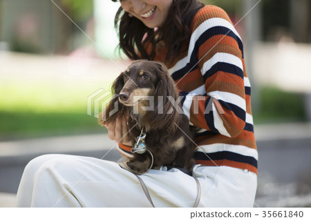 petstock dog collars