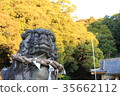 Shiba Inu Hachiman Shrine 35662112