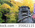 Shiba Inu Hachiman Shrine 35662115