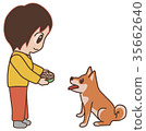 Dog waiting for rice woman giving rice 35662640