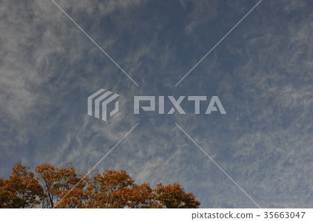 天空和雲彩雲彩秋葉的名字 35663047