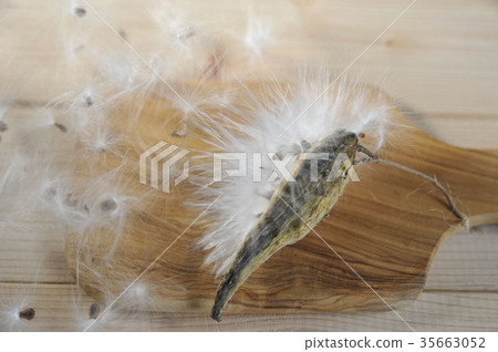 Kesera Passacelan Gagaimo 35663052