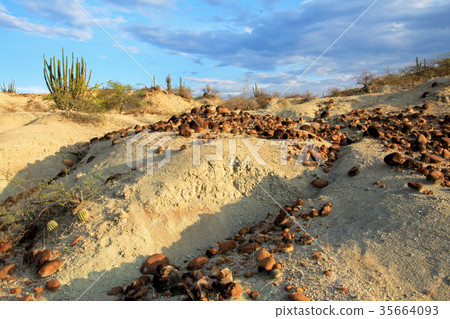Round stones laying in Tatacoa Desert, Neiva 35664093