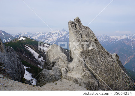 Mt. Mt. 35664234