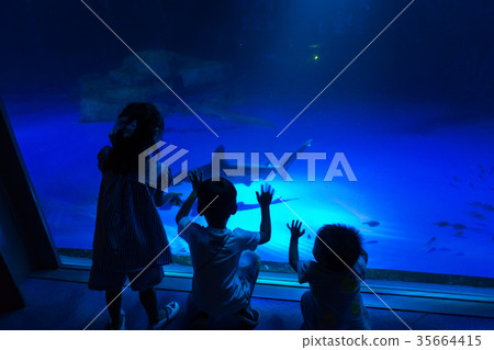 在水族館的家庭觀看的魚 在水族館的家庭觀看的魚 35664415