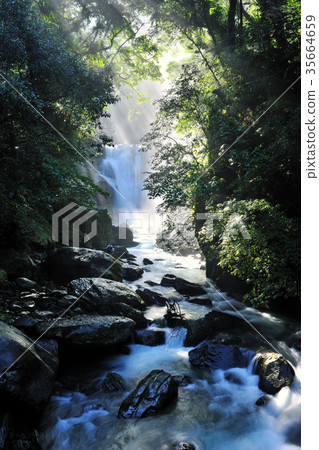 台灣,內洞國家森林遊樂區,新北市,烏來區,空氣,新鮮空氣,新鮮,自然,舒適,寧靜 35664659