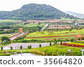 green field and  mountains background 35664820