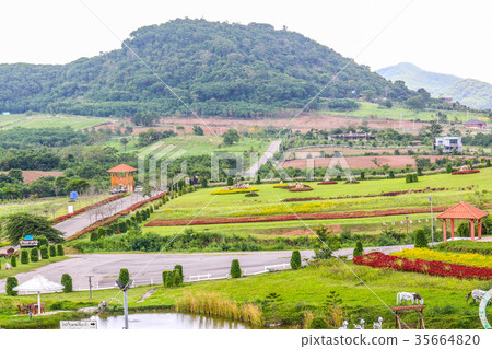 green field and mountains background green field and mountains background 35664820