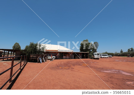 澳大利亞烏魯魯駱駝農場 35665031