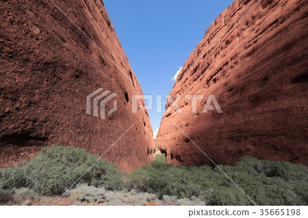 澳大利亞Uluru Kata Juta V形側面 35665198