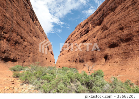 澳大利亞Uluru Kata Juta V形側面 35665203