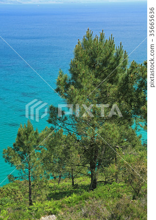 Coast at the Atlantic Ocean, Brittany, France 35665636