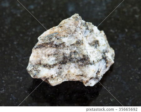 raw Gneiss stone on dark background 35665692
