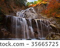 Ubagataki Falls 35665725