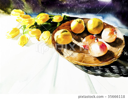 Tulip, quince, pomegranate Tulip, quince, pomegranate 35666118