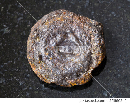 rough lake iron ore coin type (limonite) on dark rough lake iron ore coin type (limonite) on dark 35666241