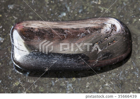 tumbled Hypersthene gemstone on dark background tumbled Hypersthene gemstone on dark background 35666439