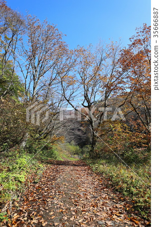 Karigami pond trekking (Fukui Ono city hiking) Karigami pond trekking (Fukui Ono city hiking) 35666887
