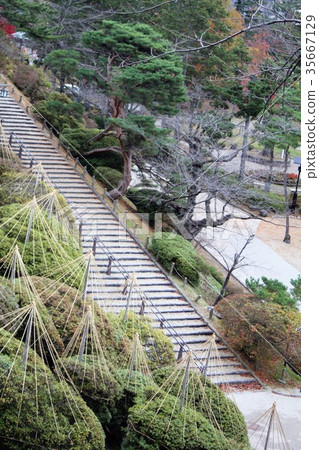 Chiaki Park in early winter 35667129