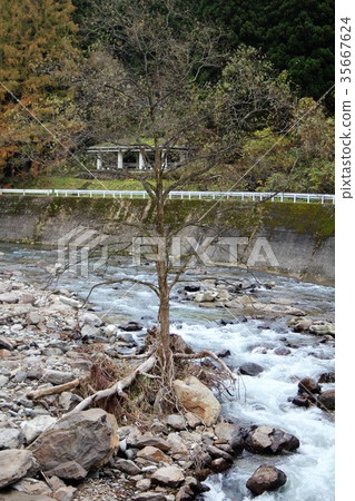 Yodoyakyo in the early winter Yodoyakyo in the early winter 35667624