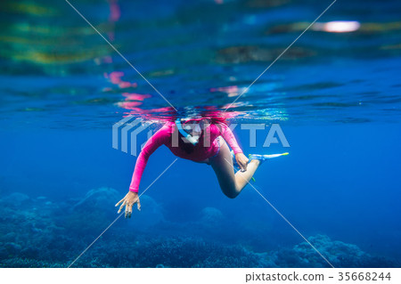 Young woman Underwater swimming in tropical ocean 35668244
