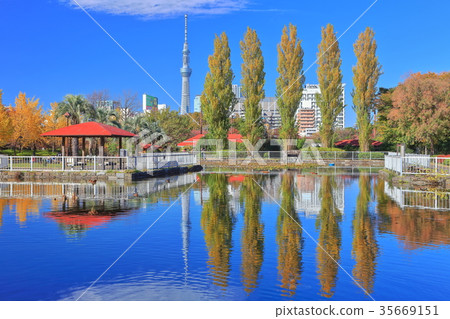 Autumn leaves of Tokyo Sky Tree and Sarue Onshi Park Autumn leaves of Tokyo Sky Tree and Sarue Onshi Park 35669151