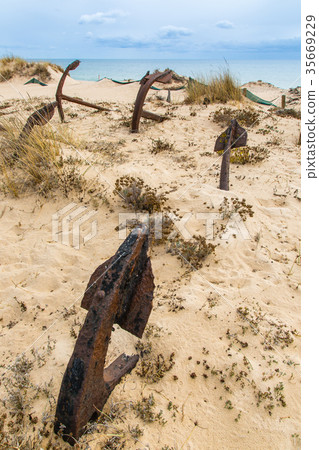 Natural Cemetery of Marine Anchors at Barril Beach Natural Cemetery of Marine Anchors at Barril Beach 35669229