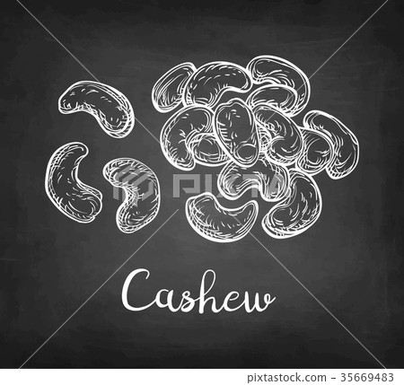 Chalk sketch of cashew 35669483