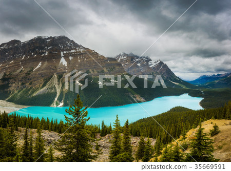 Panorama of Peyto Lake in the Canadian Rocky 35669591