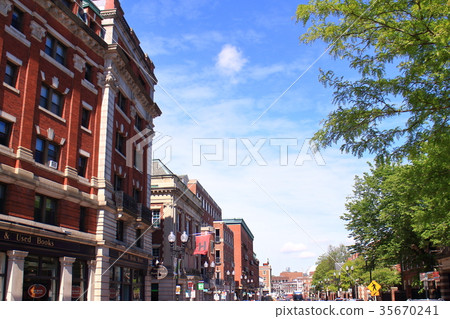 Landscape around Harvard University (US) 35670241