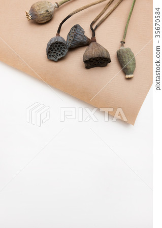 Decorative background of dried up poppyheads 35670584