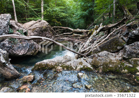 natural dam from fallen trees on Ulu-Uzen river 35671322