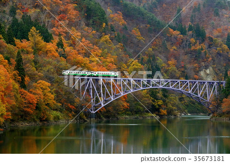 Tadami line running in autumn leaves 35673181