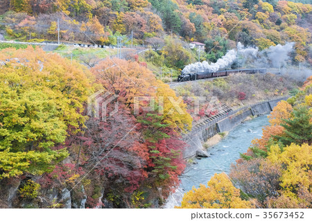 Autumn Suwakyo and sl Minakami 3 35673452