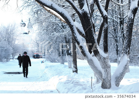 winter park  branch of the plant covered with sno 35674034