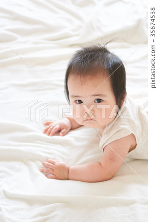 是的寶貝 35674538