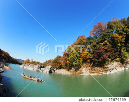 Autumn leaves of Nagatoro Autumn leaves of Nagatoro 35674569