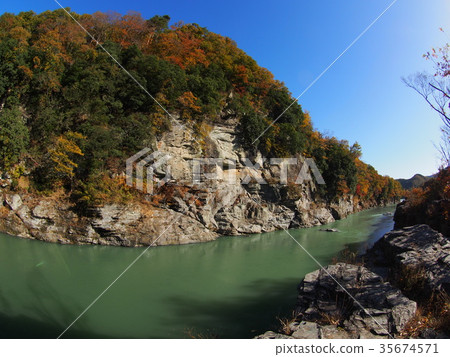 Autumn leaves of Nagatoro Autumn leaves of Nagatoro 35674571