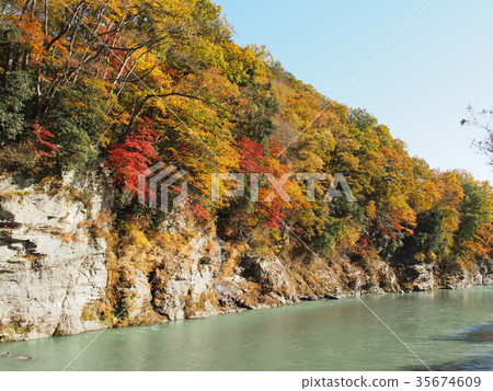 Autumn leaves of Nagatoro Autumn leaves of Nagatoro 35674609