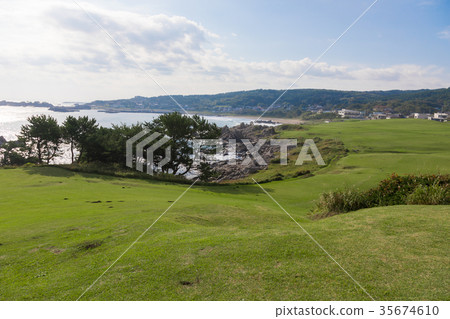 Tanesashi Coast [Aomori Prefecture Hachinohe City] 35674610