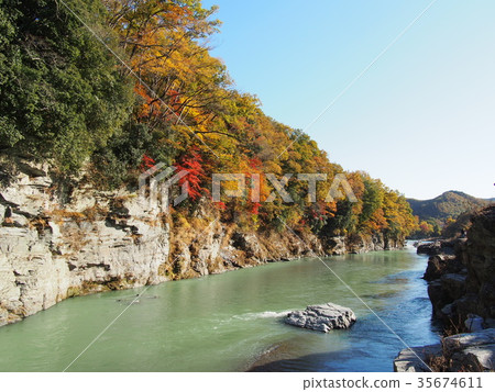 Autumn leaves of Nagatoro Autumn leaves of Nagatoro 35674611
