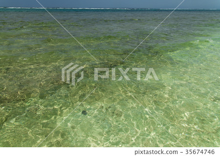 Sea of Okinawa (Kurojima) 35674746