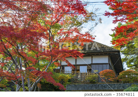 松島在秋天,觀音 松島在秋天,觀音 35674811